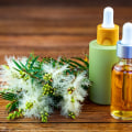 Tea Tree Oil for Preventing and Managing Breakouts: An Informative Guide